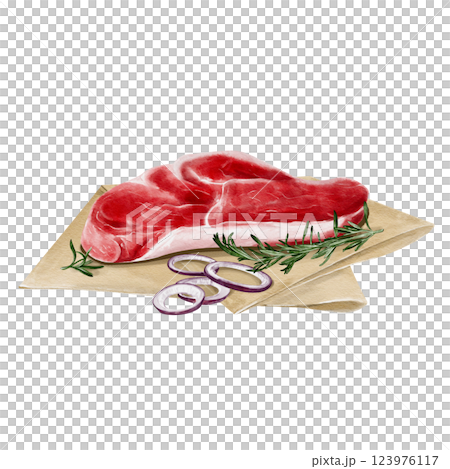 A piece of meat lies on paper with onion and herbs. Raw steak with parsley and spices. Fresh beef or lamb or pork. The garlic is cut in half. Watercolor illustration isolated from background.  123976117