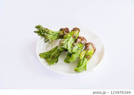 タラの芽 123976169