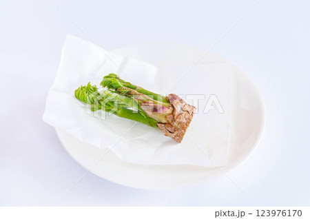 タラの芽 123976170