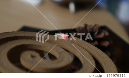 （kiss）蚊取り線香 123976311