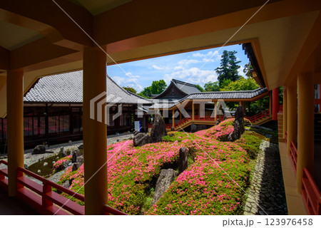 松尾大社　松風苑　曲水の庭 123976458