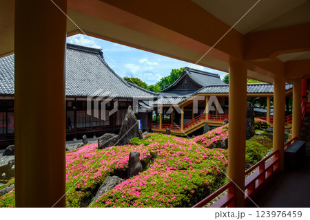 松尾大社　松風苑　曲水の庭 123976459