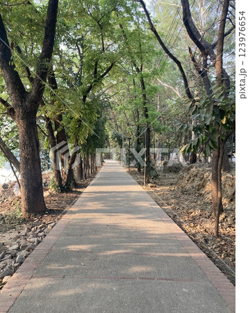 海外の発展途上国バングラデシュのダッカの公園の歩道 123976654
