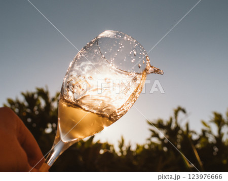 Wine Glass Splash at Sunset 123976666
