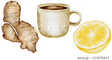 Set of tea mug, lemon and ginger. Watercolor hand drawn beige mug with hot drink and on isolated white background. Ideal for logo and packaging of medicinal tea. Homeopathic composition 123976837