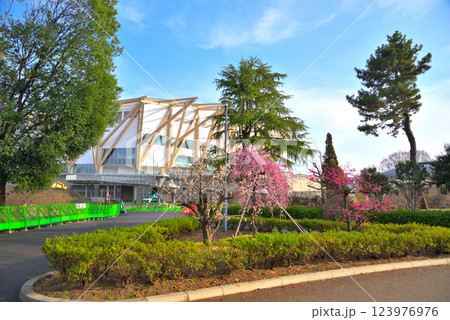 《愛知県》名古屋市　梅の花が咲く春の名城公園とIGアリーナ 123976976