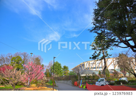 《愛知県》名古屋市　梅の花が咲く春の名城公園 123976983