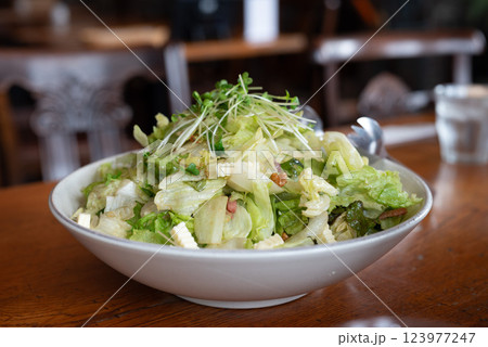 山盛りのサラダ　レタス　レストラン 123977247
