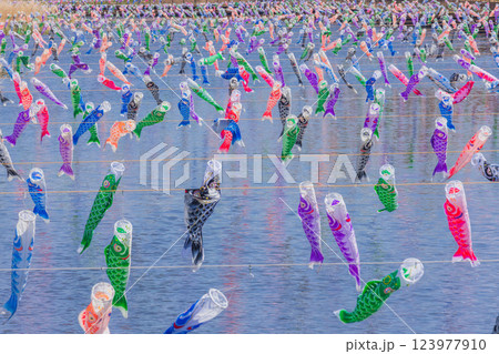 館林市鯉のぼりの里まつり 123977910