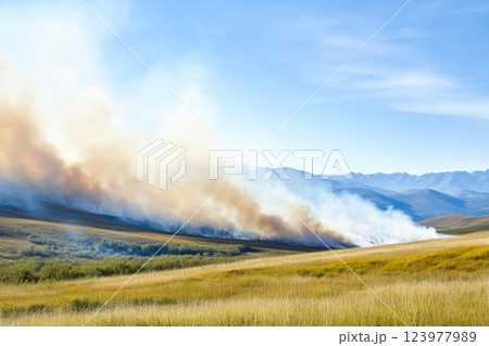Forest in Flames as Wildfire Engulfs National Park Forest in Flames as Wildfire Engulfs National Park 123977989