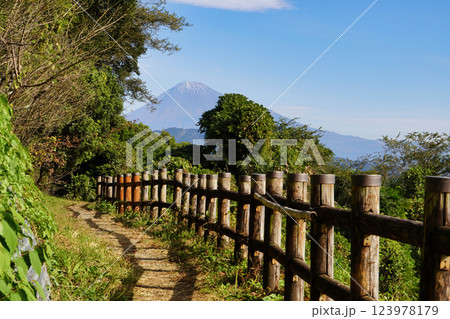 富士山を望む薩埵峠の遊歩道：自然と歴史の調和 123978179
