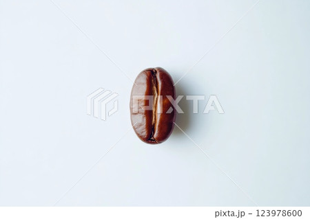 Close-up of Single Roasted Coffee Bean Isolated 123978600