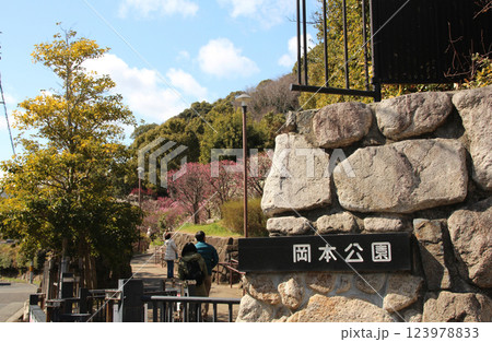 梅林のある岡本公園 123978833