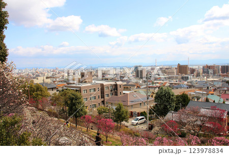 梅林のある岡本公園と神戸の街並み 123978834