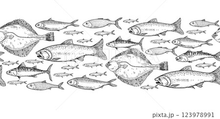 School of fish flounder, salmon black white vector seamless border. Shoal sardine, anchovy, mackerel engraving hand drawn. Flock herring sea fish monochrome repeat banner in graphic line art. 123978991