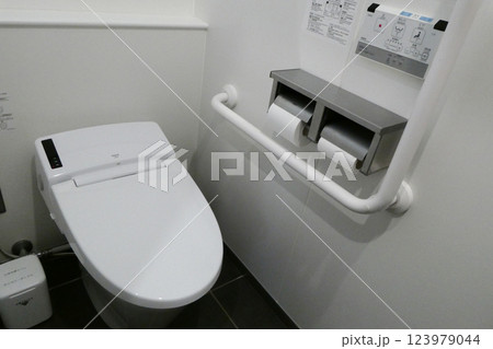 岩手県小岩井駅のトイレの明るい手洗い場と季節の花 岩手県小岩井駅のトイレの明るい手洗い場と季節の花 123979044