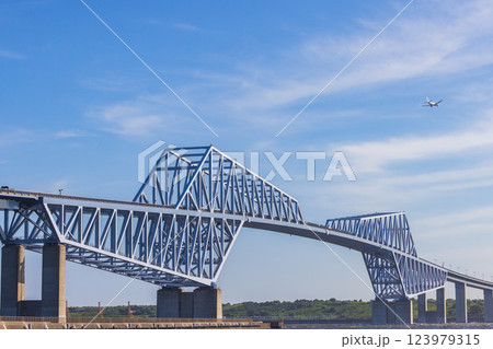 夏の東京ゲートブリッジ　東京都 123979315