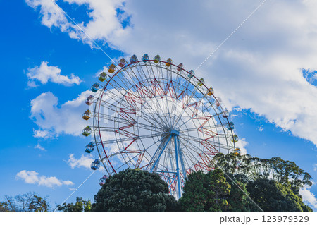 浜松市にある青空に映える舘山寺の浜名湖パルパルの観覧車の風景(静岡県) 123979329