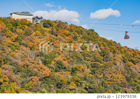 浜松市にあるかんざんじロープウェイと紅葉する大草山の風景(静岡県) 123979336