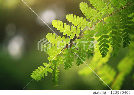 Branch with green leaves in sunlight, bokeh effect. Summer background. Ai generated 123980403
