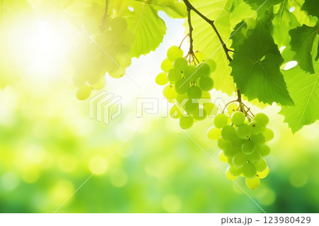 Branch with green leaves in sunlight, bokeh effect. Summer background. Ai generated 123980429
