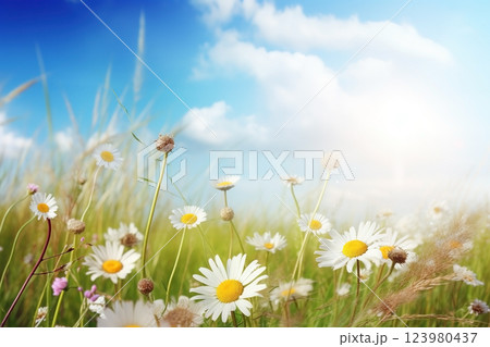 Flower meadow with daisies in sunlight close-up summer background. Ai generated Flower meadow with daisies in sunlight close-up summer background. Ai generated 123980437