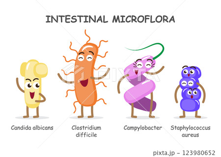 Intestinal microflora . Collection of cute medical microbiome cartoon characters . Vector . Set 2 of 3 . 123980652