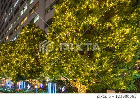 クリスマスイルミネーションの新宿南口 東京夜景 クリスマスイルミネーションの新宿南口 東京夜景 123980665