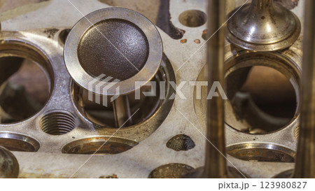 Car engine valves close up.Part of car's motor.Machinery detail of modern gasoline engine repair of cylinder head.Installing the valve of an overhauled engine.Mechanism automobile.Workshop motor car 123980827