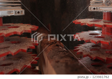 Woodworking machine in close-up. Woodworking industry. 123981762
