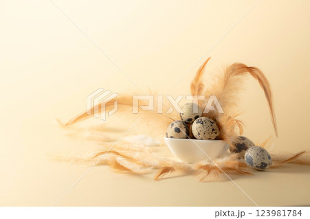 Quail eggs and feathers on a yellow background. 123981784
