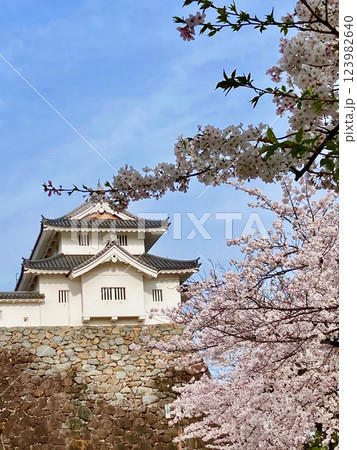 甲府市舞鶴城の桜と稲荷櫓・1 123982640
