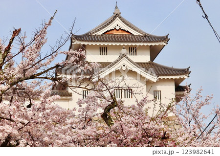 甲府市舞鶴城公園の桜と稲荷櫓・2 123982641