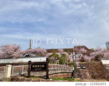 桜満開の時期の甲府舞鶴城公園・1 桜満開の時期の甲府舞鶴城公園・1 123982655