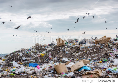 The Environmental Impact of Waste and Litter Accumulated in Urban Areas and Surroundings The Environmental Impact of Waste and Litter Accumulated in Urban Areas and Surroundings 123982916