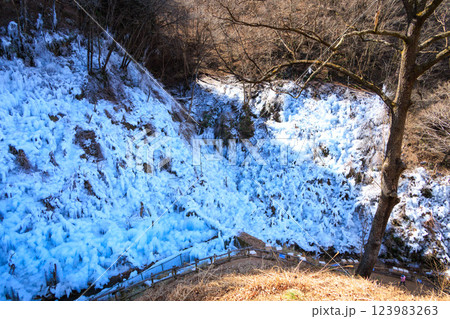 あしがくぼの氷柱 123983263
