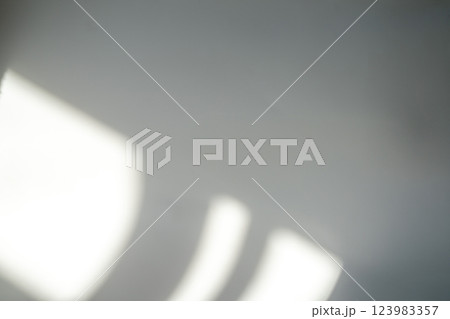 Soft shadows and light interplay create an abstract, minimalist aesthetic, evoking tranquility and simplicity in a serene setting. 123983357