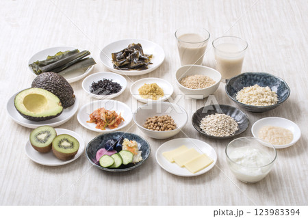 腸活食材食品　健康食品食材　イメージ素材 123983394