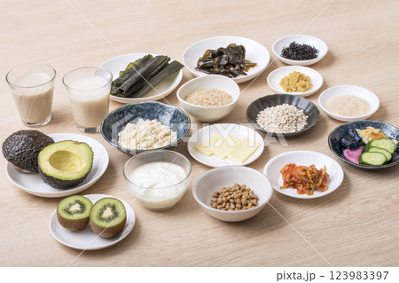 腸活食材食品 健康食品食材 イメージ素材 腸活食材食品 健康食品食材 イメージ素材 123983397