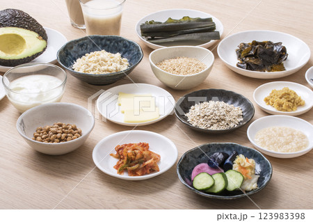 腸活食材食品　健康食品食材　イメージ素材 123983398