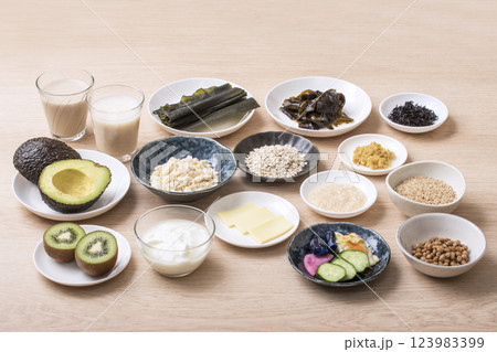 腸活食材食品　健康食品食材　イメージ素材 123983399