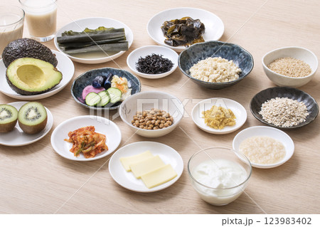 腸活食材食品　健康食品食材　イメージ素材 123983402