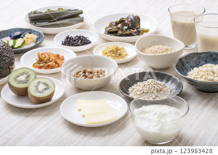 腸活食材食品　健康食品食材　イメージ素材 123983428