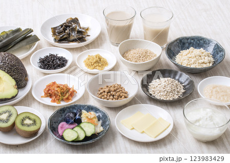 腸活食材食品　健康食品食材　イメージ素材 123983429