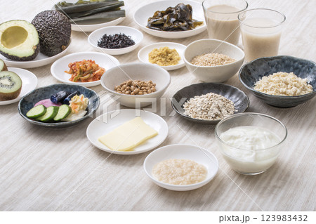 腸活食材食品 健康食品食材 イメージ素材 腸活食材食品 健康食品食材 イメージ素材 123983432