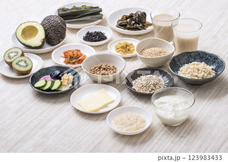 腸活食材食品　健康食品食材　イメージ素材 123983433