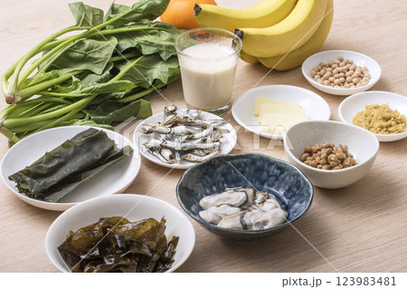ミネラル食材食品　健康食品食材　五大栄養素　イメージ素材 123983481
