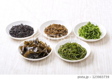 海藻類いろいろ　健康食品食材　イメージ素材 123983739