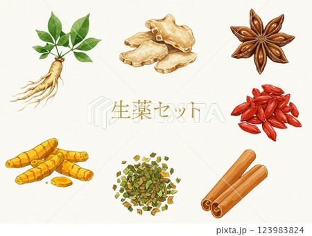 生薬の水彩イラストセット、伝統的な東洋医学の漢方薬 123983824