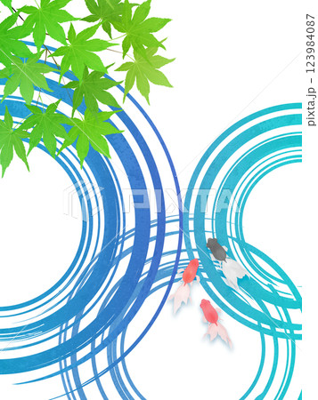 新緑のモミジと水紋のイラストフレーム背景素材 123984087